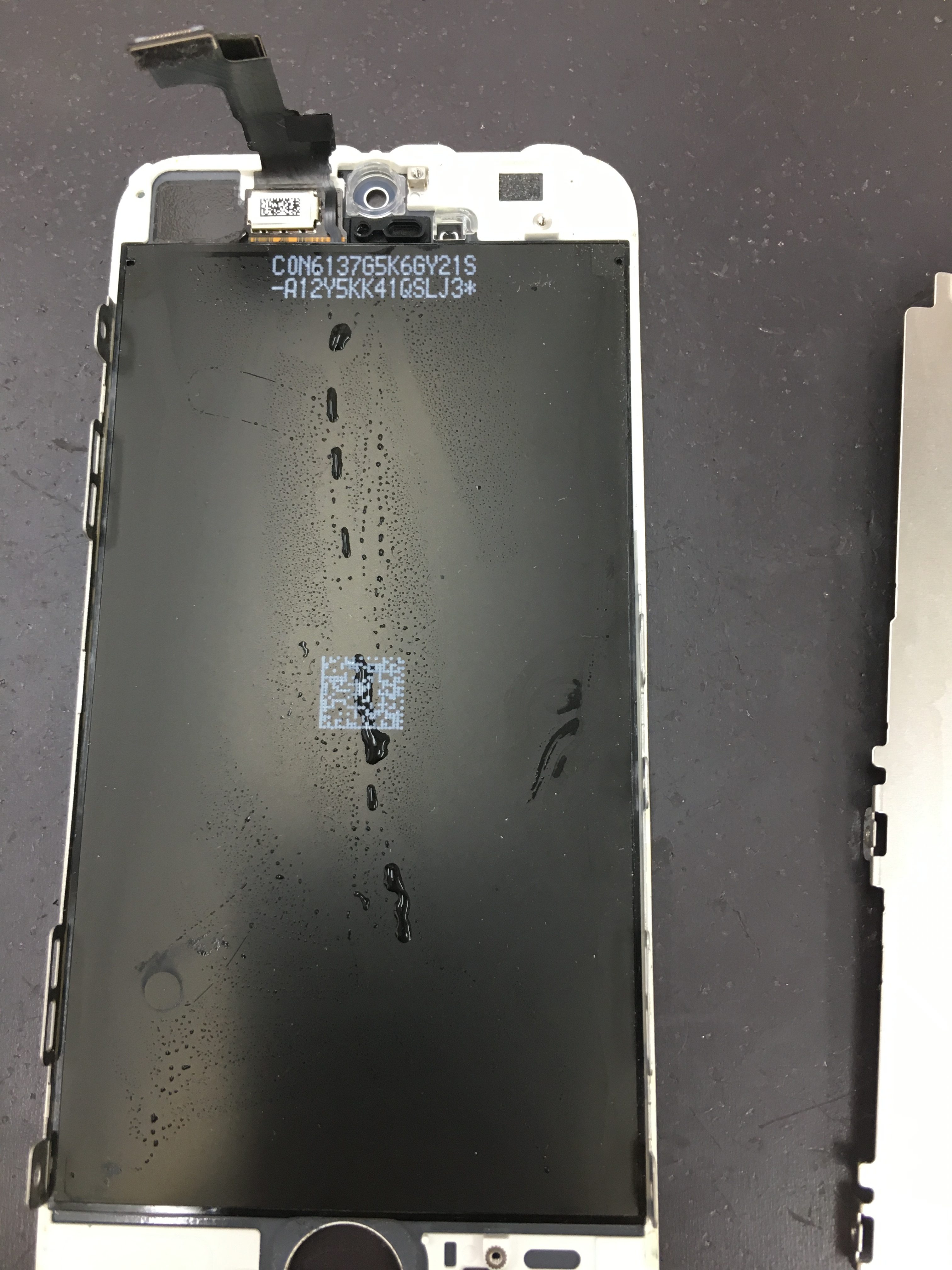 iPhoneSE水没赤判定